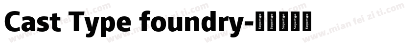Cast Type foundry字体转换